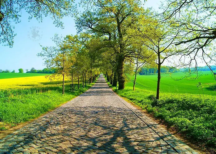 Residenz Seeblick 14 * Sellin (Rugen)